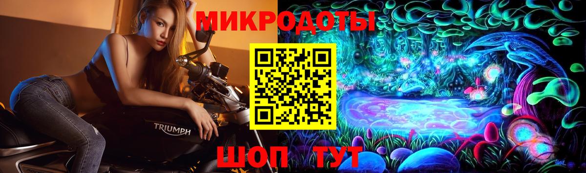Псилоцибиновые грибы GOLDEN TEACHER Можга